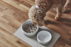 MiaCara Lento Hondenvoerbak Inzetstuk Large Slate -Winkel Voor Woninginrichting x886x886 miacara lento hondenvoerbak inzetstuk large2.jpg.pagespeed.ic .kl9hHNbIw3