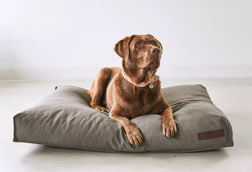 MiaCara Mare Hondenkussen Large Sand 7 MiaCara Mare Hondenkussen Large Sand - Afbeelding 5