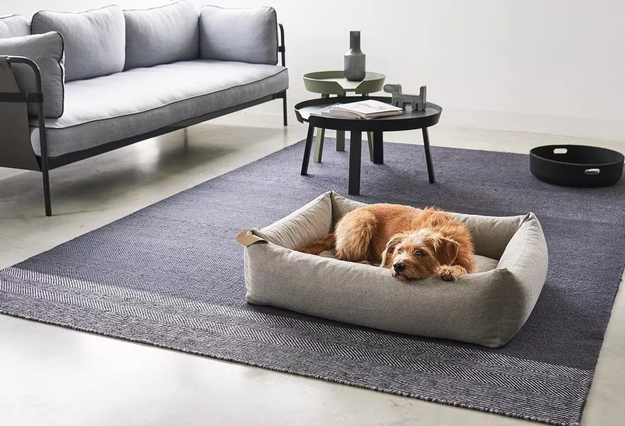 MiaCara Mare Hondenmand Medium Rock 5 MiaCara Mare Hondenmand Medium Rock - Afbeelding 3