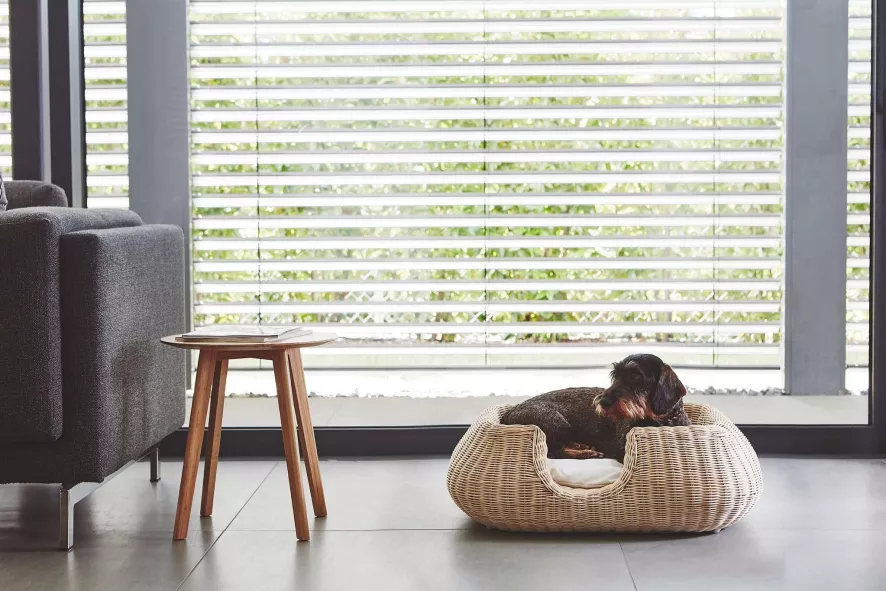 MiaCara Mio Hondenmand Medium Hemp 8 MiaCara Mio Hondenmand Medium Hemp - Afbeelding 6