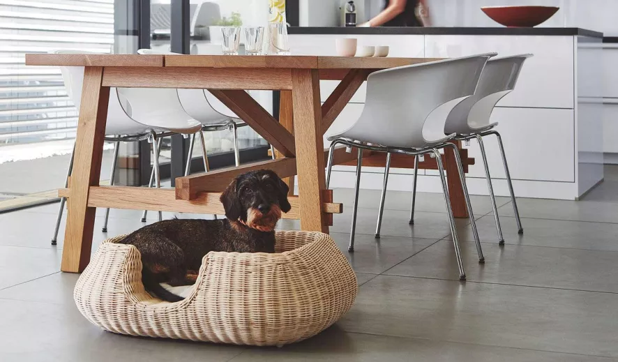 MiaCara Mio Hondenmand Medium Hemp 12 MiaCara Mio Hondenmand Medium Hemp - Afbeelding 10