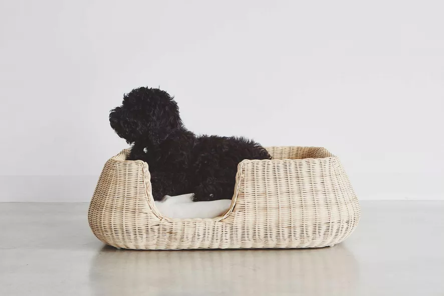 MiaCara Mio Hondenmand Medium Hemp 9 MiaCara Mio Hondenmand Medium Hemp - Afbeelding 7