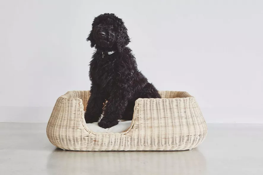 MiaCara Mio Hondenmand Medium Hemp 13 MiaCara Mio Hondenmand Medium Hemp - Afbeelding 11