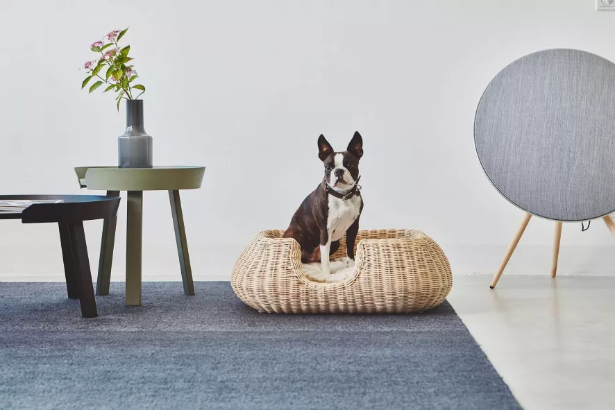 MiaCara Mio Hondenmand Small Anthracite 6 MiaCara Mio Hondenmand Small Anthracite - Afbeelding 4