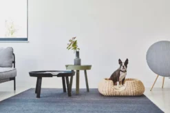 MiaCara Mio Hondenmand Small Anthracite 21 MiaCara Mio Hondenmand Small Anthracite -Winkel Voor Woninginrichting x886x886 miacara mio hondenmand small2.jpg.pagespeed.ic .mSItWYhWlV