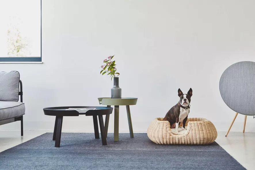 MiaCara Mio Hondenmand Small Anthracite 9 MiaCara Mio Hondenmand Small Anthracite - Afbeelding 7