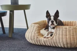 MiaCara Mio Hondenmand Small Anthracite 23 MiaCara Mio Hondenmand Small Anthracite -Winkel Voor Woninginrichting x886x886 miacara mio hondenmand small4.jpg.pagespeed.ic .3aUbSdiIe6