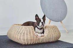 MiaCara Mio Hondenmand Small Anthracite 22 MiaCara Mio Hondenmand Small Anthracite -Winkel Voor Woninginrichting x886x886 miacara mio hondenmand small5.jpg.pagespeed.ic .d 1F9YHrJR