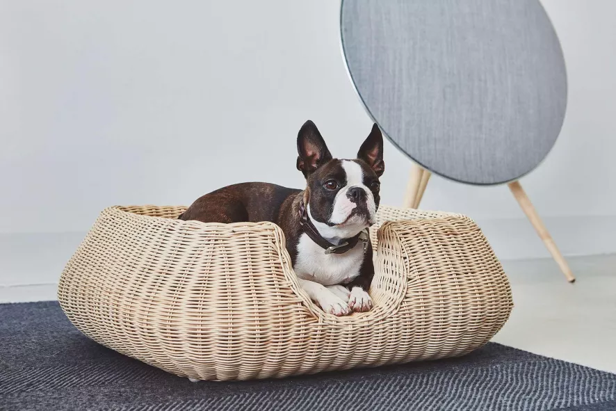 MiaCara Mio Hondenmand Small Anthracite 10 MiaCara Mio Hondenmand Small Anthracite - Afbeelding 8