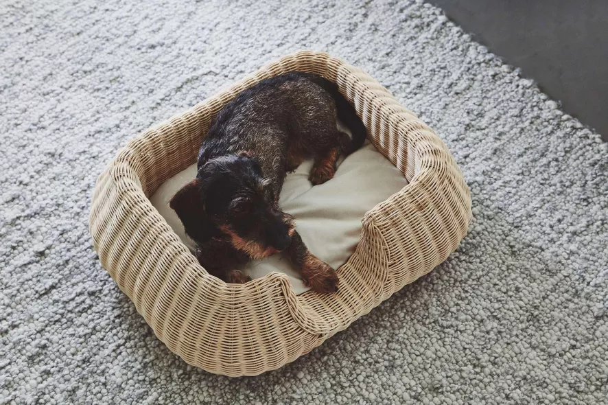 MiaCara Mio Hondenmand Small Anthracite 8 MiaCara Mio Hondenmand Small Anthracite - Afbeelding 6