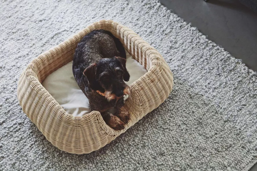 MiaCara Mio Hondenmand Small Anthracite 14 MiaCara Mio Hondenmand Small Anthracite - Afbeelding 12