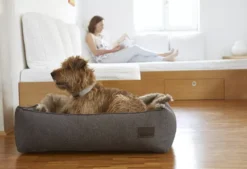 MiaCara Nube Hondenmand Small Tabacco -Winkel Voor Woninginrichting x886x886 miacara nube hondenmand small19.jpg.pagespeed.ic .M2SSgd3cu 1 3