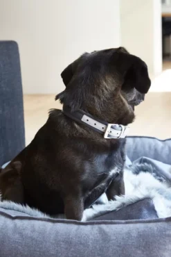 MiaCara Nube Hondenmand Medium Tobacco 12 MiaCara Nube Hondenmand Medium Tobacco -Winkel Voor Woninginrichting x886x886 miacara nube hondenmand small21.jpg.pagespeed.ic .flBGihibq1 2