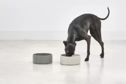 MiaCara Scodella Hondenvoerbak Small Greige -Winkel Voor Woninginrichting x886x886 miacara scodella hondenvoerbak large.jpg.pagespeed.ic .DQ4N LwLQH 1