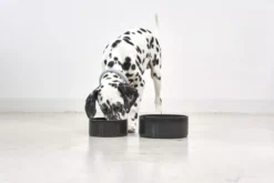 MiaCara Scodella Hondenvoerbak Small Greige -Winkel Voor Woninginrichting x886x886 miacara scodella hondenvoerbak large1.jpg.pagespeed.ic .6RW7 9Fw M 1