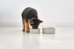 MiaCara Scodella Hondenvoerbak Small Greige -Winkel Voor Woninginrichting x886x886 miacara scodella hondenvoerbak large2.jpg.pagespeed.ic .EPohjv346t 1