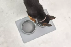 MiaCara Scodella Hondenvoerbak Small Cement -Winkel Voor Woninginrichting x886x886 miacara scodella hondenvoerbak large4.jpg.pagespeed.ic .PlhIR9G4N