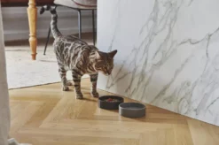 MiaCara Scodella Kattenvoerbak Graphite -Winkel Voor Woninginrichting x886x886 miacara scodella kattenvoerbak4.jpg.pagespeed.ic .slk1JeAOPC