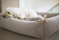 MiaCara Senso Hondenmand Medium Pebble -Winkel Voor Woninginrichting x886x886 miacara senso hondenmand small2.jpg.pagespeed.ic .Mho lMWWTo