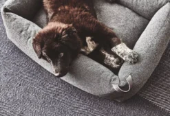 MiaCara Stella Hondenmand Small Mottled Slate -Winkel Voor Woninginrichting x886x886 miacara stella hondenmand small5.jpg.pagespeed.ic .qi04m r7Br