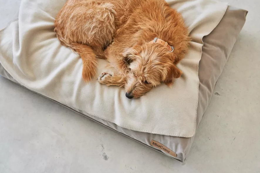 MiaCara Velluto Hondenkussen Large Greige 5 MiaCara Velluto Hondenkussen Large Greige - Afbeelding 3