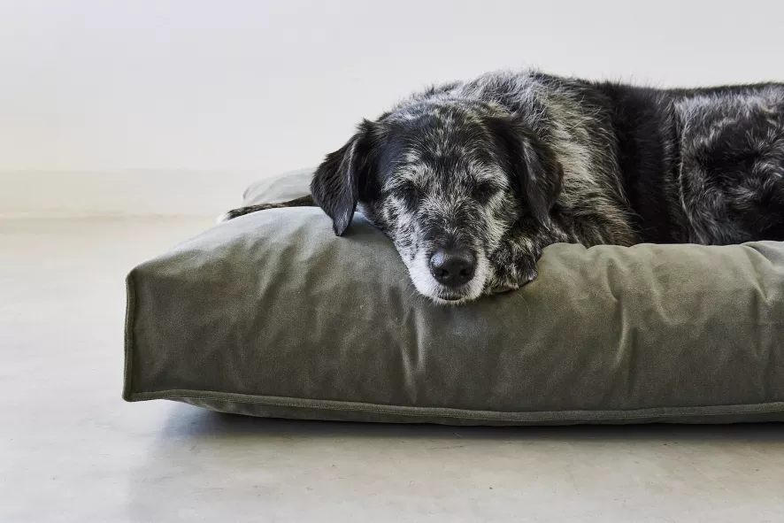 MiaCara Velluto Hondenkussen Large Greige 9 MiaCara Velluto Hondenkussen Large Greige - Afbeelding 7