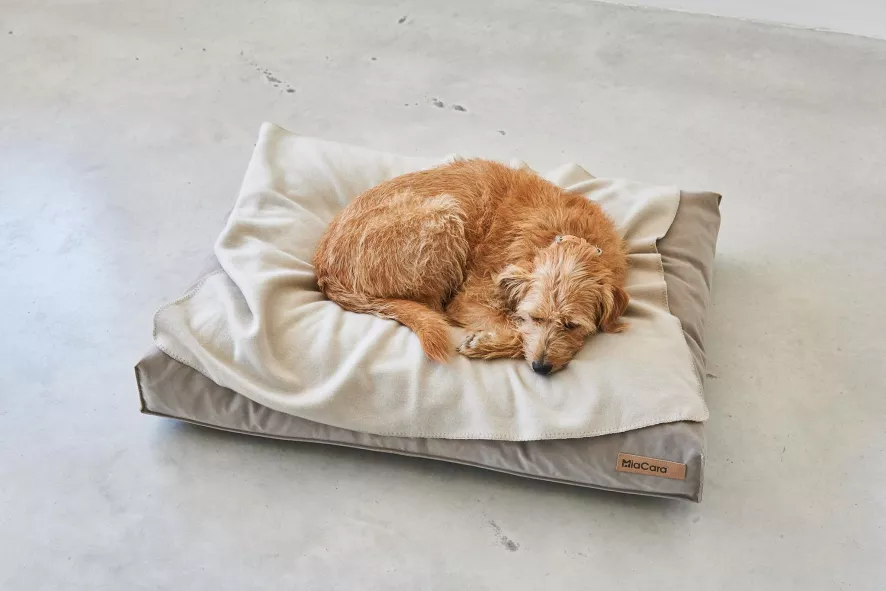 MiaCara Velluto Hondenkussen Large Greige 7 MiaCara Velluto Hondenkussen Large Greige - Afbeelding 5