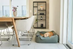 MiaCara Velluto Hondenmand Medium Sage -Winkel Voor Woninginrichting x886x886 miacara velluto hondenmand large4.jpg.pagespeed.ic .Pq2F6wHs28 1