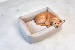 MiaCara Velluto Hondenmand Medium Sage -Winkel Voor Woninginrichting x886x886 miacara velluto hondenmand large9.jpg.pagespeed.ic .IA9vkAoJ5d 1