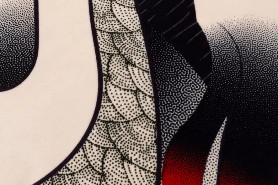 Moooi Dodo Pavone Kussen 50x50 Black 4 Moooi Dodo Pavone Kussen 50x50 Black - Afbeelding 2