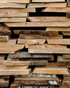 Muuto The Dots Haak Ø9 Oak -Winkel Voor Woninginrichting x886x886 muuto the dots haak 5 stuks9.jpg.pagespeed.ic .FkPhnSvlLT