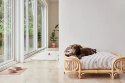 OYOY Otto Hondenmand Medium Rattan -Winkel Voor Woninginrichting x886x886 oyoy otto hondenmand medium rattan1.jpg.pagespeed.ic . 2OZvwyJgS