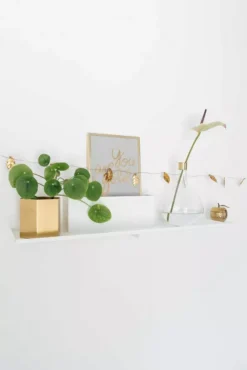 Puik Duplex Wandplank Zwart -Winkel Voor Woninginrichting x886x886 puik duplex wandplank6.jpg.pagespeed.ic .GQ8TXKrNnX