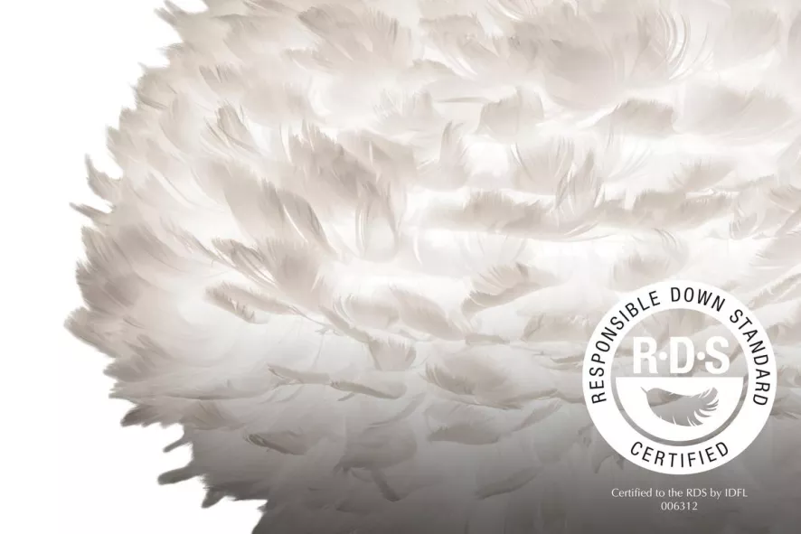 Umage Eos Mini Tafellamp Messing Onderstel 6 Umage Eos Mini Tafellamp Messing Onderstel - Afbeelding 4