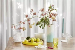 Vitra Herringbone Vessels Bowl Kom Ø19.5 Mint 19 Vitra Herringbone Vessels Bowl Kom Ø19.5 Mint -Winkel Voor Woninginrichting x886x886 vitra herringbone vessels vaas klein1.jpg.pagespeed.ic .4v6 wrRyFV