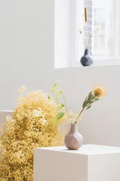 Zuiver Bloom Vaas Green -Winkel Voor Woninginrichting x886x886 zuiver bloom vaas6.jpg.pagespeed.ic .XMIIRJpjlr