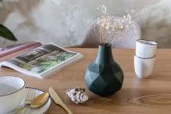 Zuiver Bloom Vaas Green -Winkel Voor Woninginrichting x886x886 zuiver bloom vaas7.jpg.pagespeed.ic .tiUm9Oxb5p